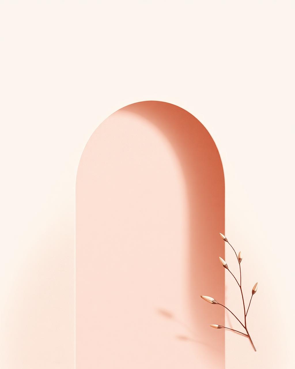 The Perimenopause Survival Guide